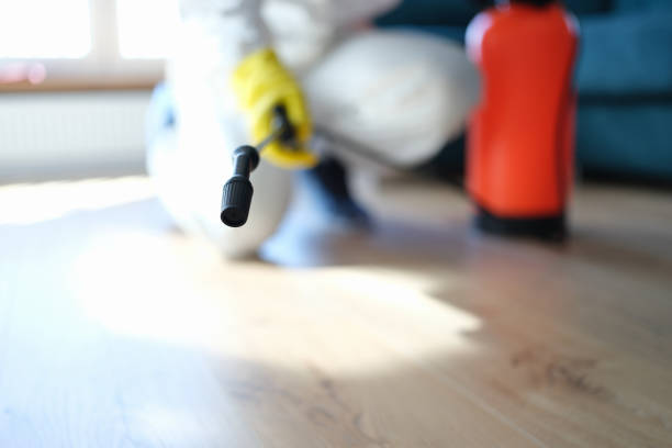Environmental Consulting for Mold Prevention in Ralston, NE