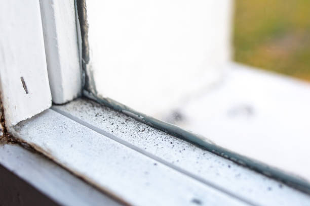 Best Comprehensive Air Testing for Mold Contaminants  in Ralston, NE