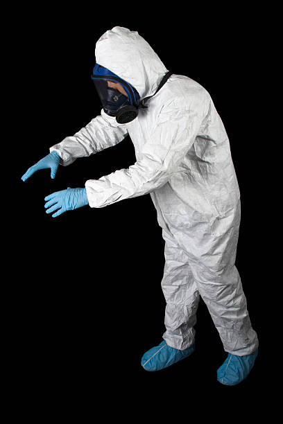 Best Black Mold Removal  in Ralston, NE