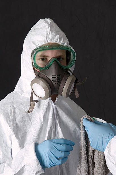 Best Mold Odor Removal Services  in Ralston, NE